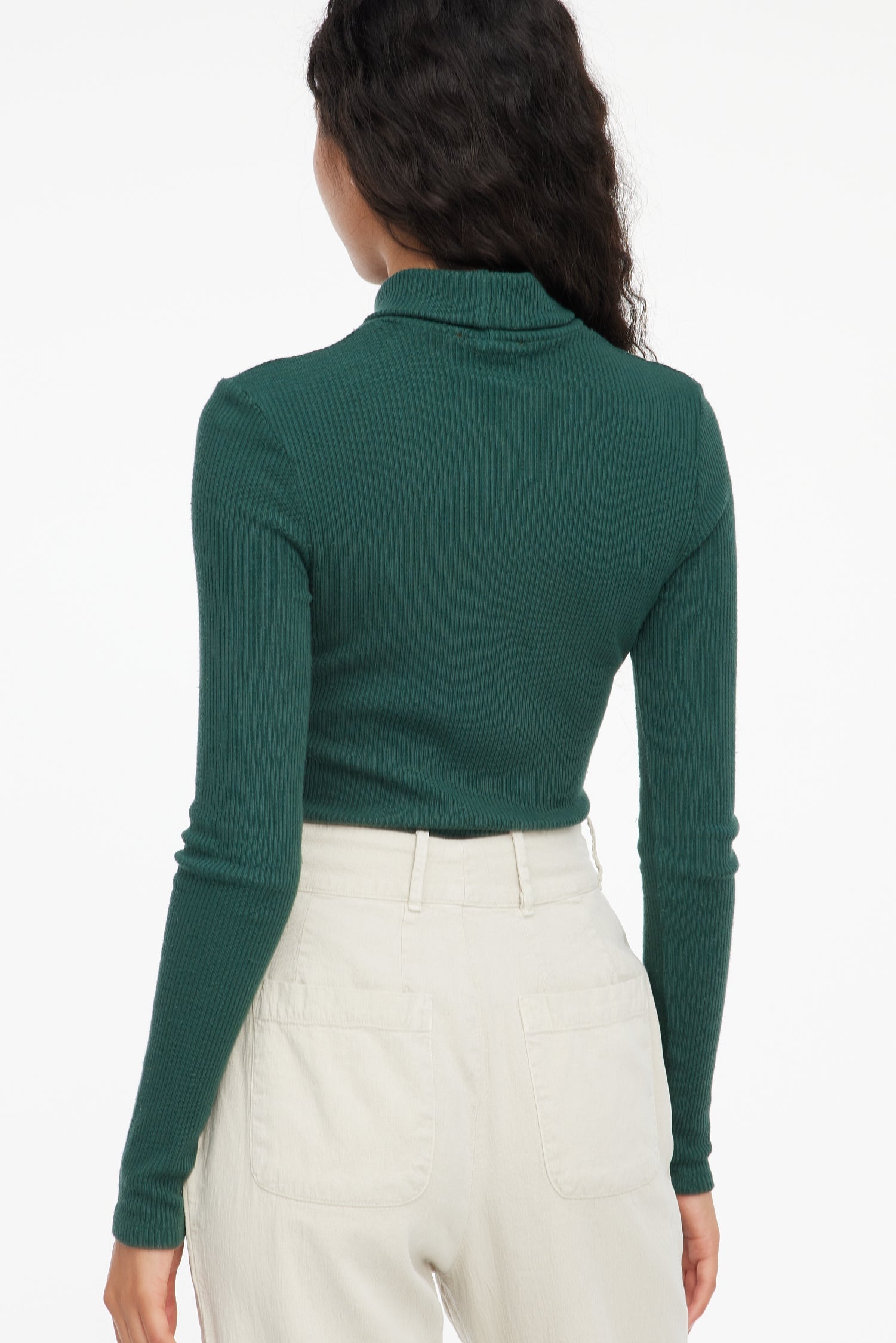 Sweater Rib Turtleneck - Absynthe